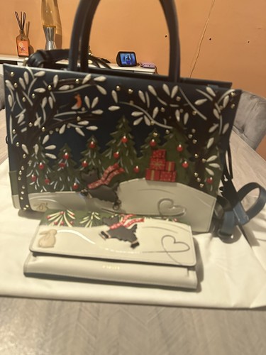 Radley ice day - an,