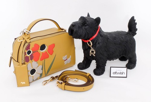 Radley stunning floribunda - stunning,