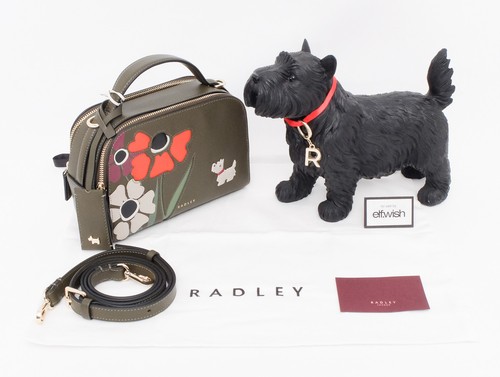 Radley beautiful floribunda - radley,