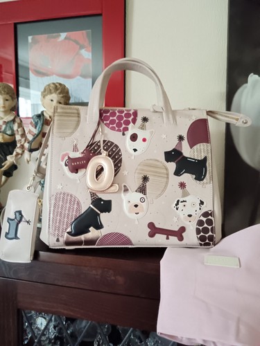 Nwot stunning radley picture - nwot,